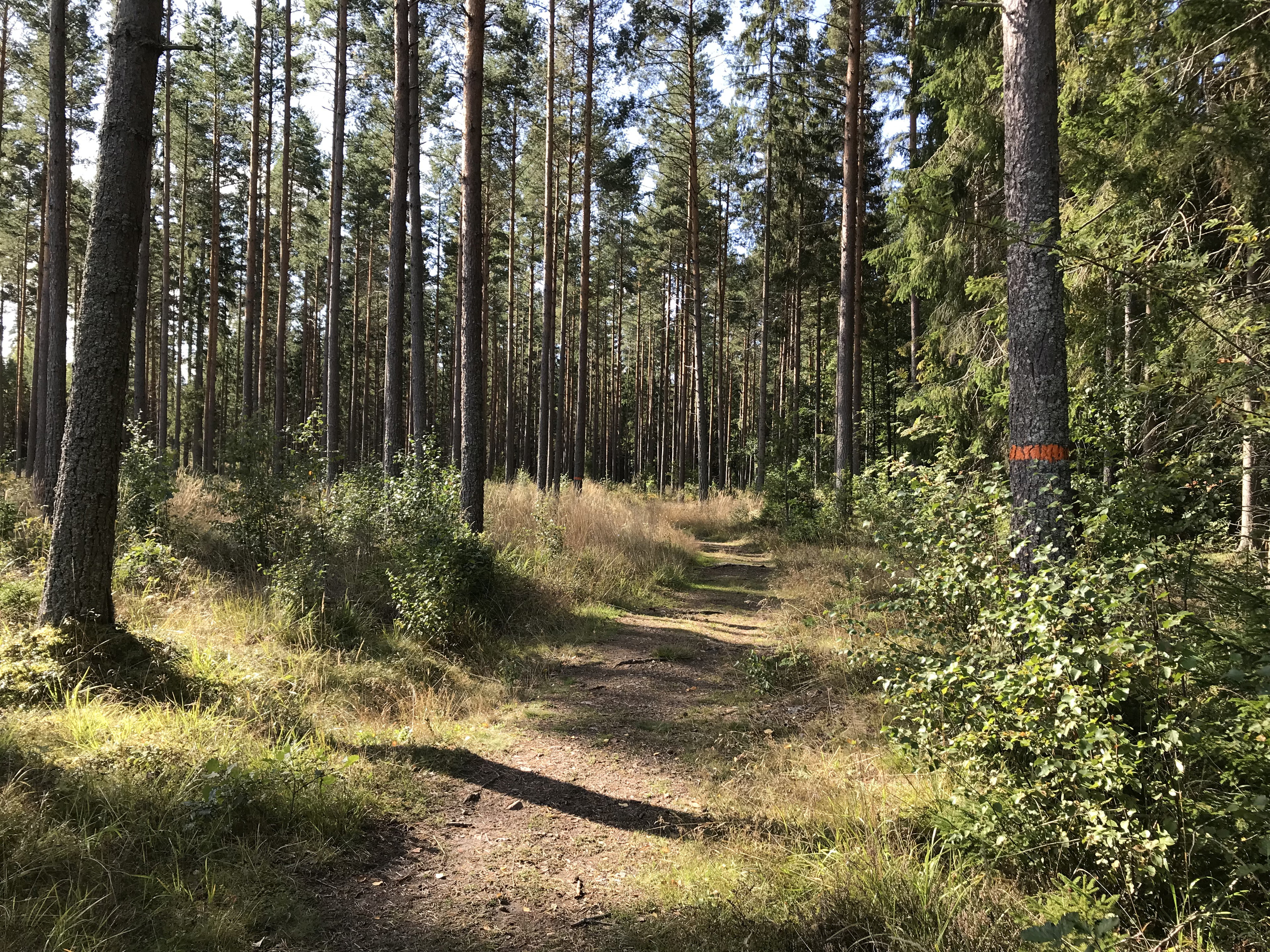Smedstorp - Pinnarp, Östgötaleden