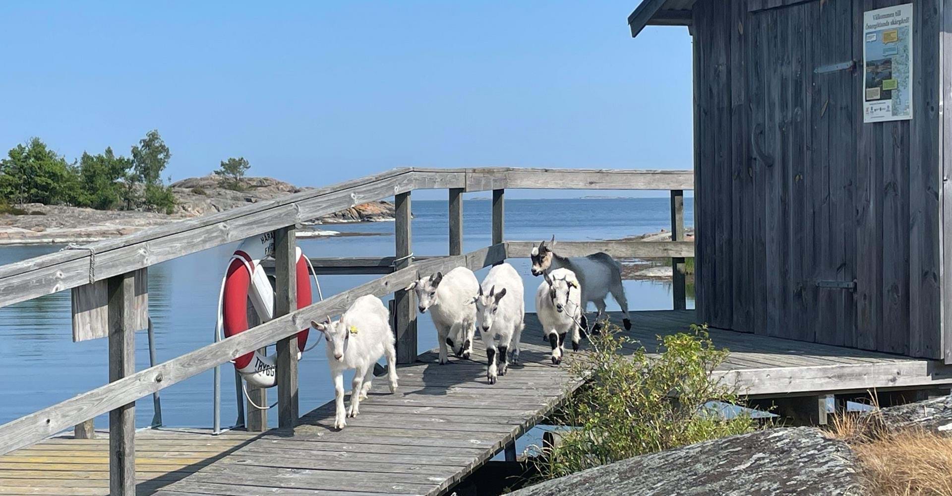 Sopmaja på Stångskär.
Etapp: Häradskär
Valdemarsvik