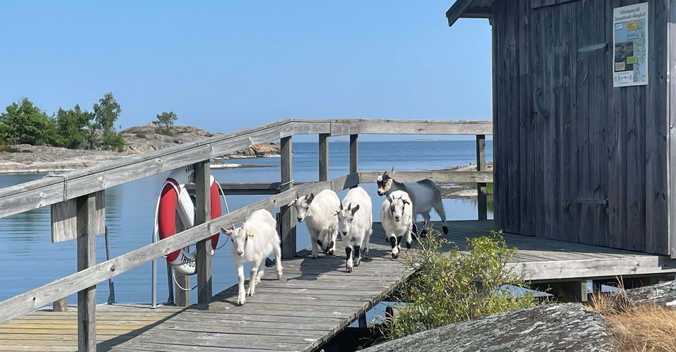 Sopmaja på Stångskär.
Etapp: Häradskär
Valdemarsvik