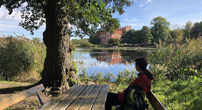 Vandringsslingan utmed Svaneholmssjön strax utanför reservatet.