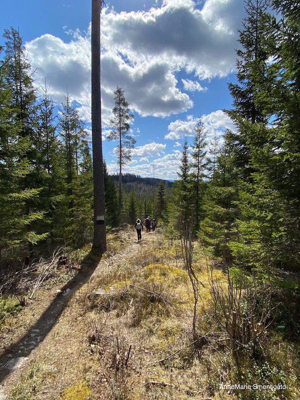 Vandring uppe på "flen"