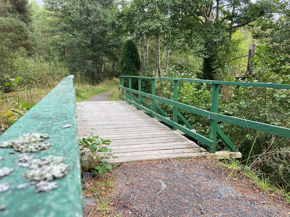 En träbro med gröna räcken leder över ett smalt vattendrag.