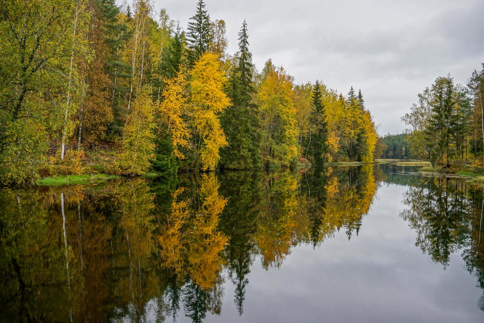 Foto: Johan Svedberg