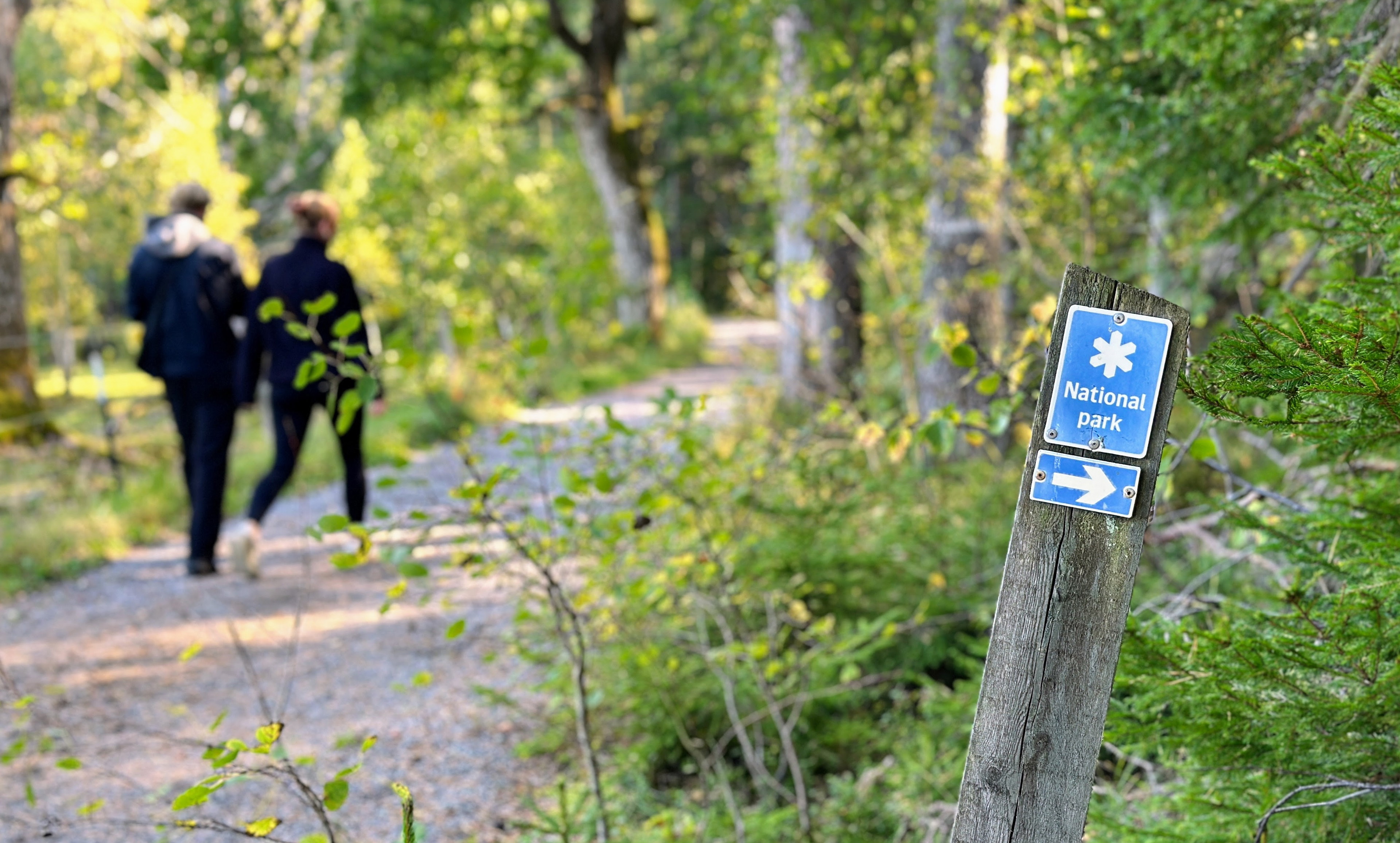 Friforsk - en nationell kunskapsnod som ska säkra framtidens hållbara naturupplevelser - föreslås at…