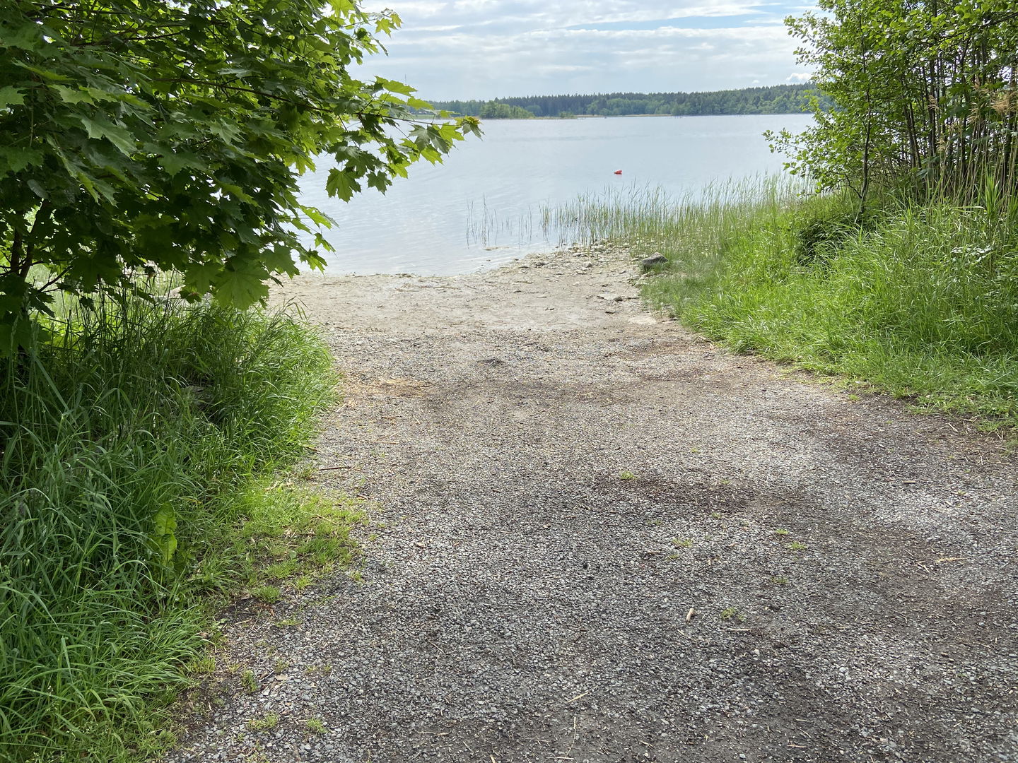 Grusväg som leder ner till vattnet, omgiven av gräs och träd