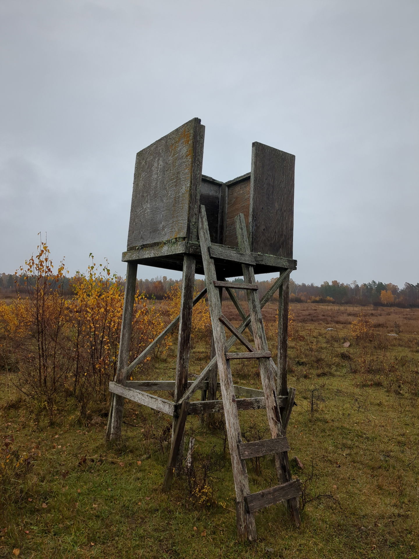 Utsiktstorn