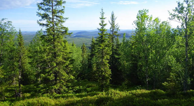 Nördhöjden, Naturreservat