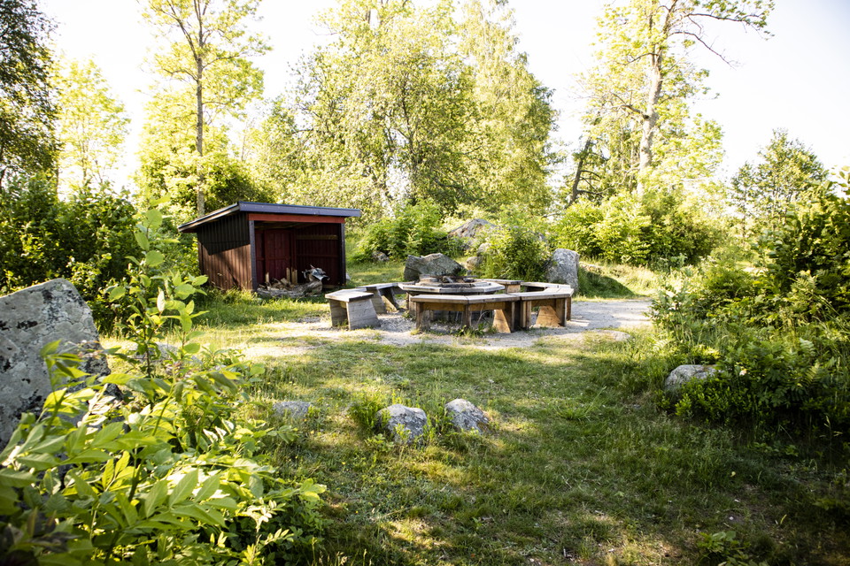 Grillplats, vedbod, buskar, stenar, gräs och skog.