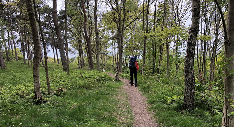 Vacker natur