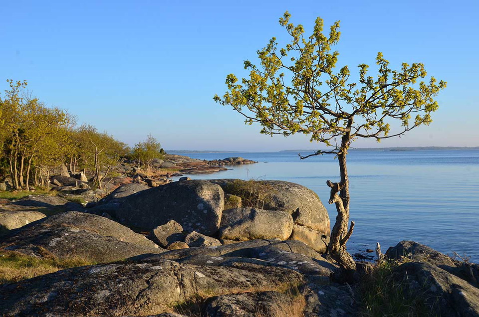 Hällar vid havet