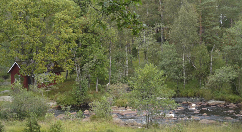 En bäck rinner genom landskapet och intill bäcken ligger en liten röd stuga. 