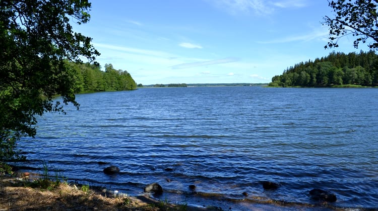 Sydvästra Fysingen – promenera genom eklundar och hagmarker utmed Fysingens strand
