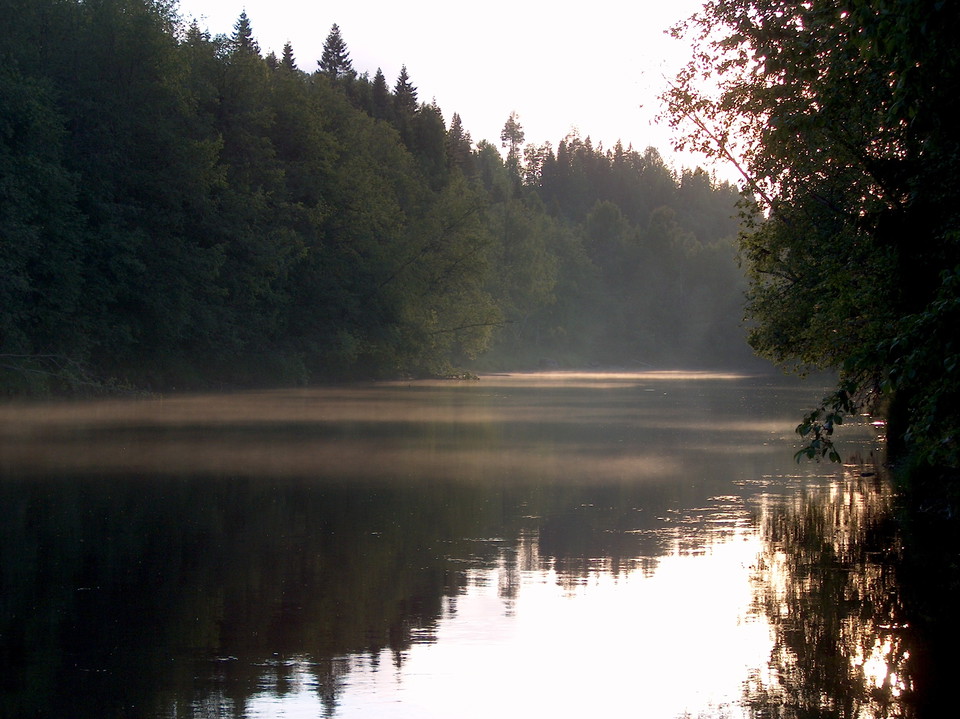 Enjoy the peace and quiet