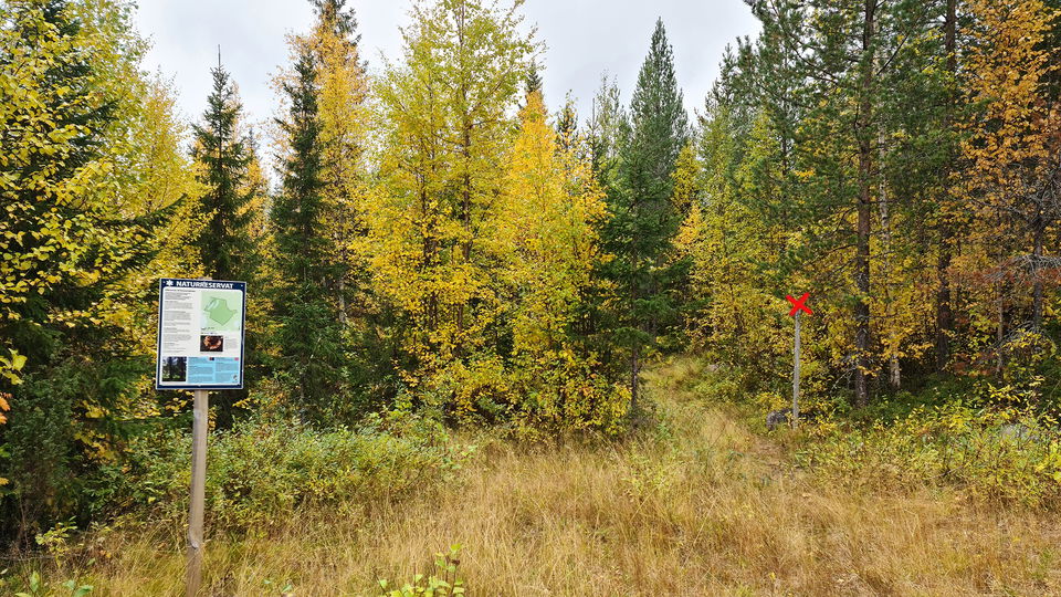 En skylt i en skog och i bakgrunden skymtar en stig med röda kryssmarkeringar.