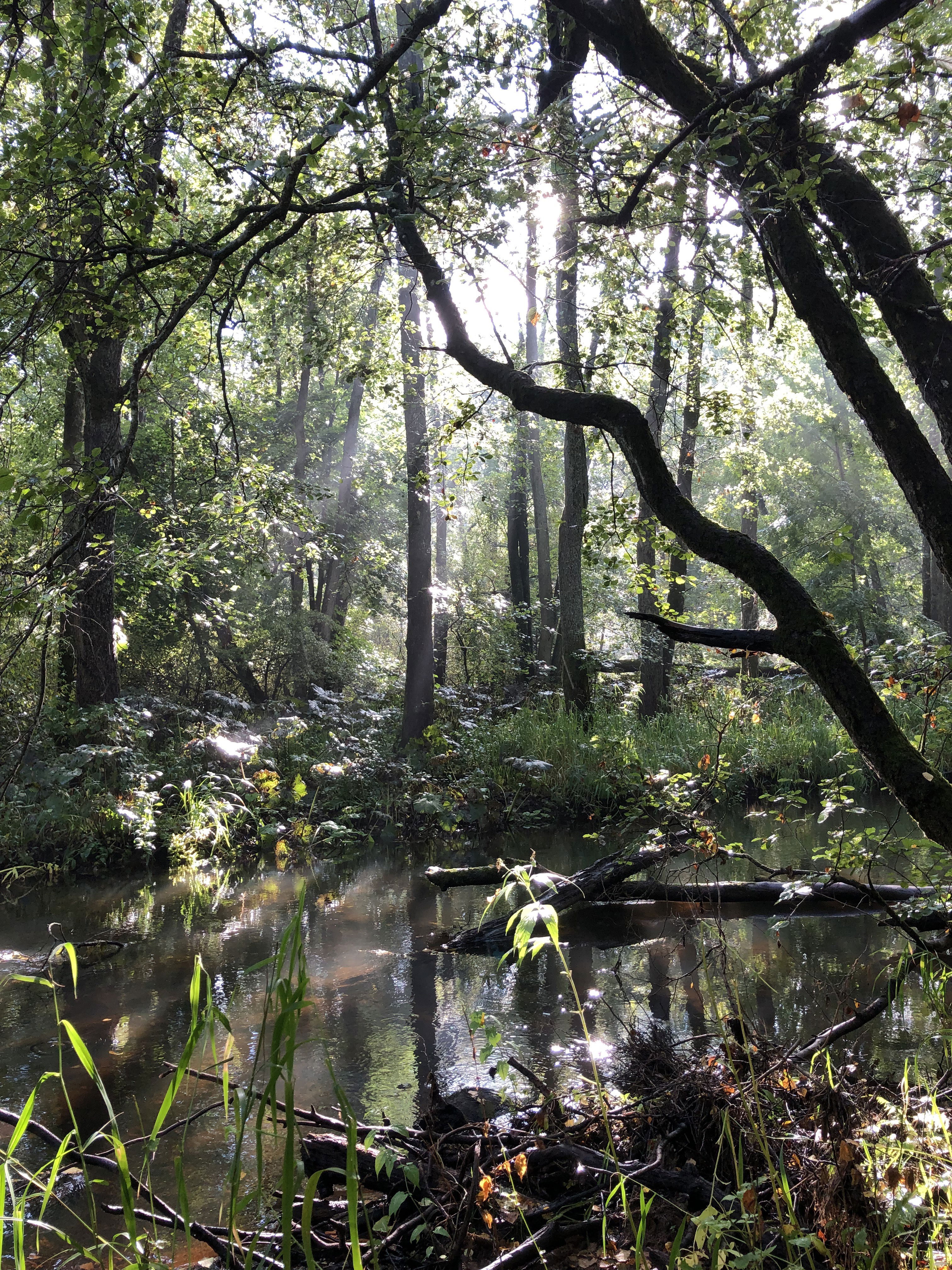 Fotoutställning Med kärlek till vatten - se alla utvalda bidrag