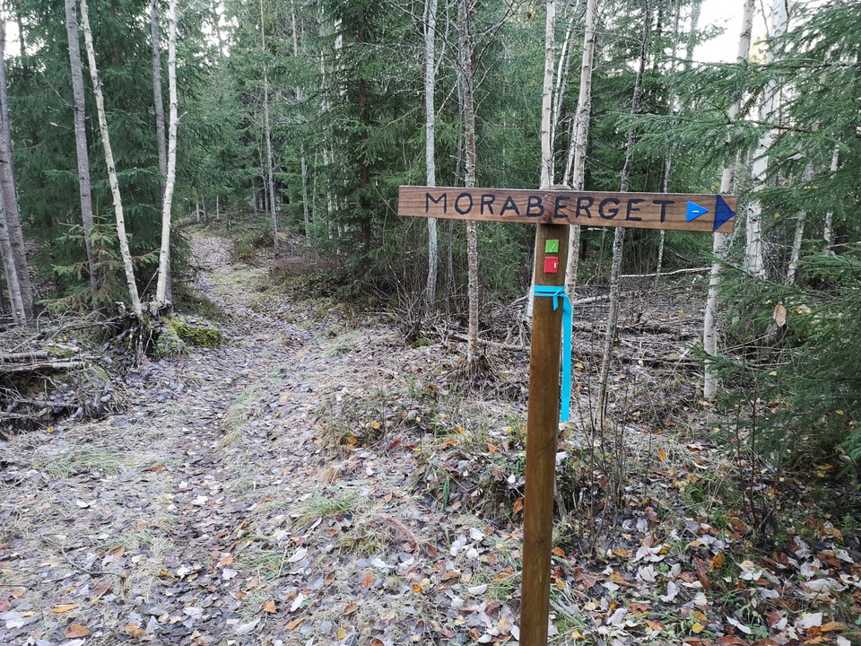 Tillbaka på 5 och 6 km leden.