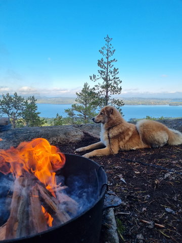 Hamnäs/klätterledens vindskydd