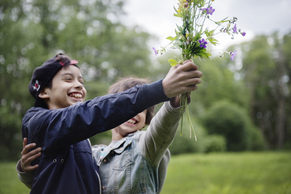 Gömsta äng - strandnära blomsterrika ängar