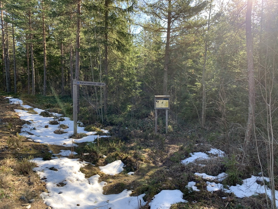 Från Roslagsleden är det skyltat in i reservatet.