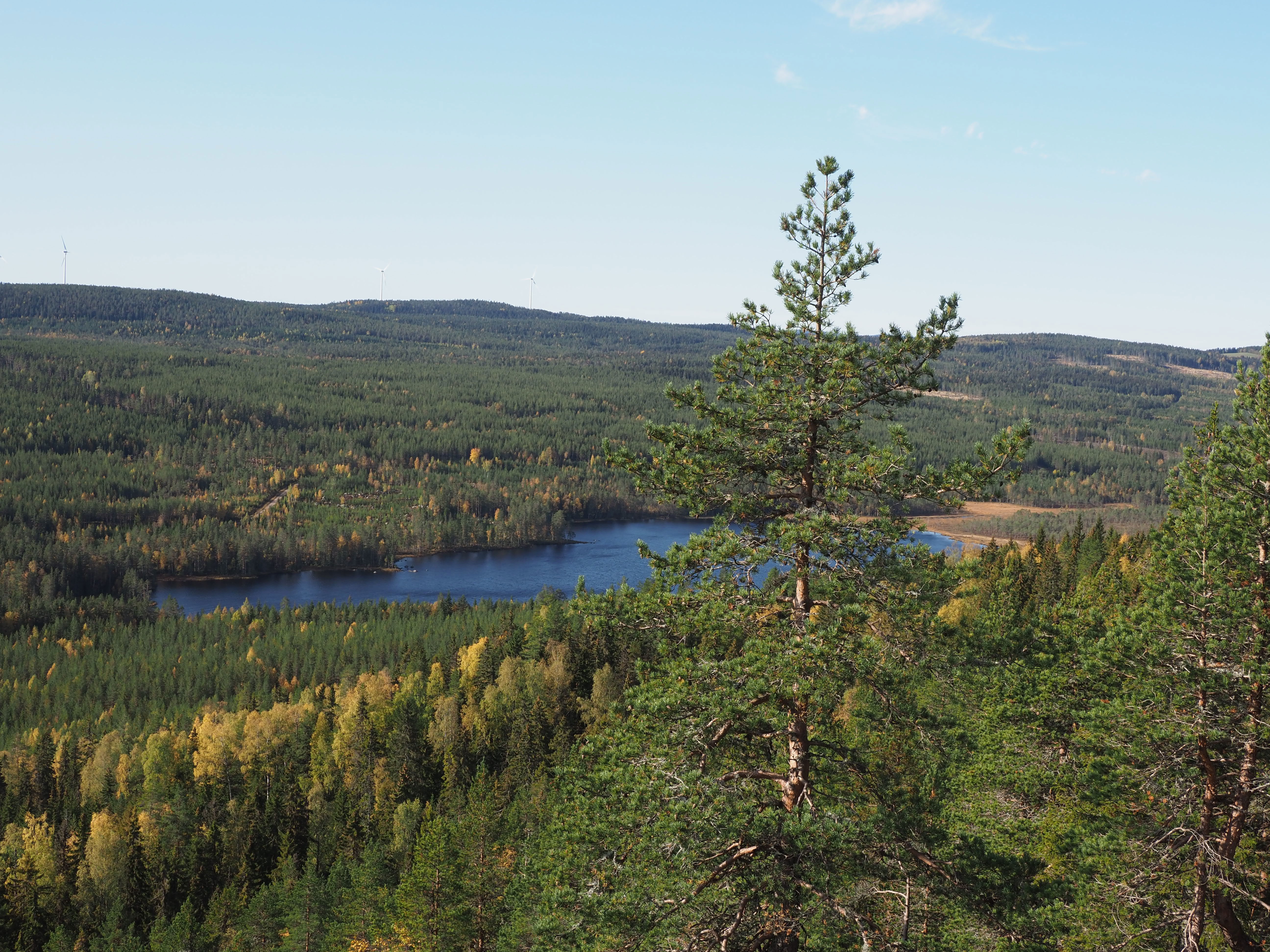 Vy över Ärten