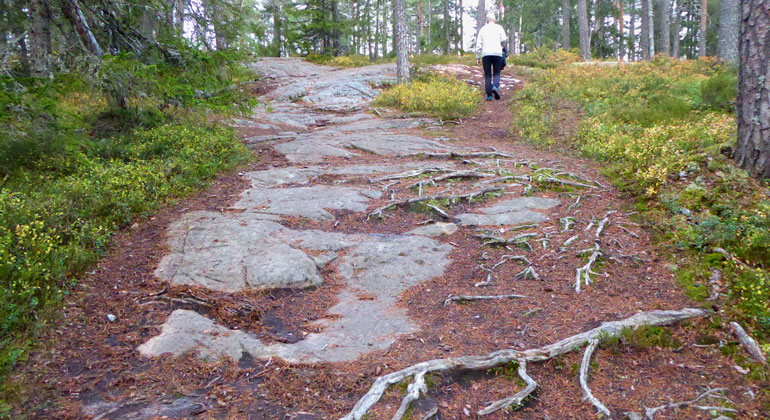 Stigen är bred, men klippor och rötter kan vara hala vid regn och fuktigt väder.