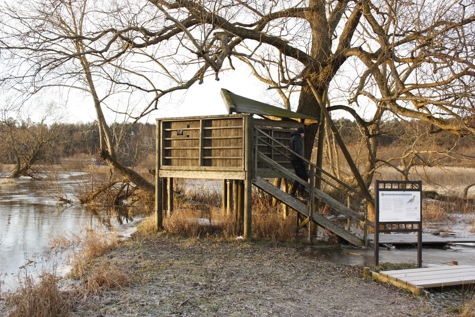 Vid Fyrisån står en upphöjd plattform med höga väggar och ett tak över en del av plattformen. En trappa med handräcken leder upp till gömslet.