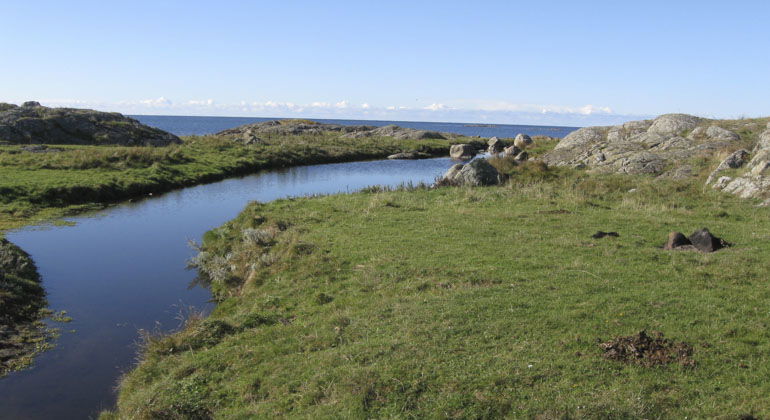 vatten som rinner genom landskapet