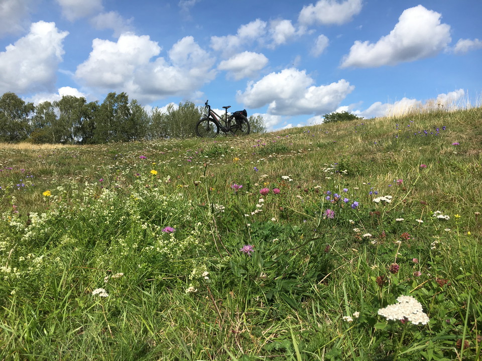 Djurgårdsrundan förbi Tessinparken och Gärdet.