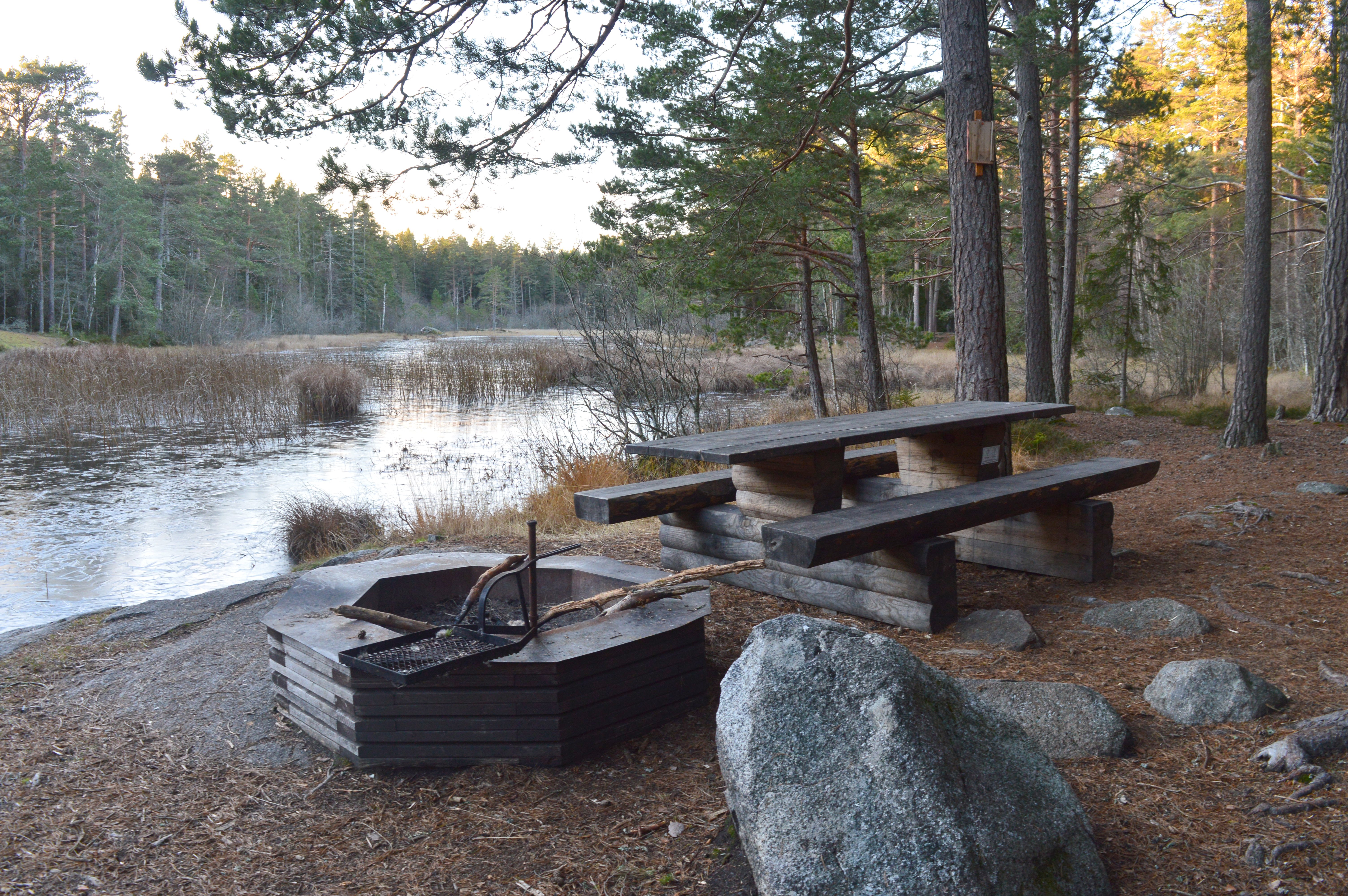 Ett bänkbord och en grillplats med grillgaller står intill en damm med skog runtom.