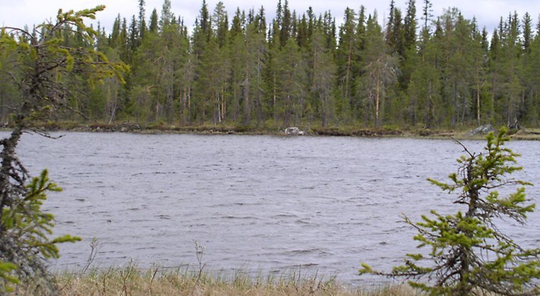 Vy över Granträsklobblen, den största av sjöarna i reservatet.