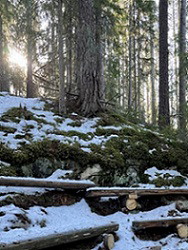 Ekotemplet (Eco Temple)