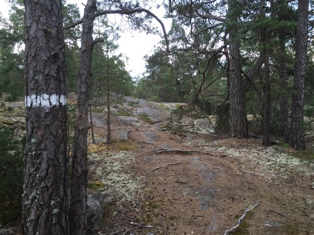 Lovö - The Skogsrundan trail