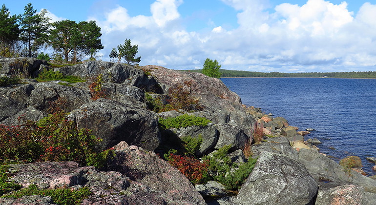 Kunoöhällan.