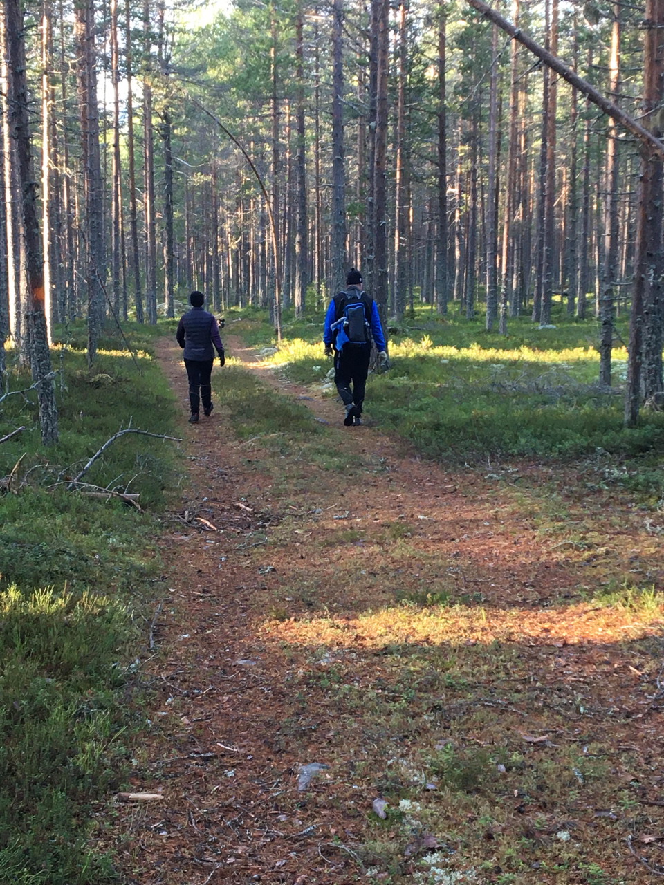 foto: Maj-Lis Wikström