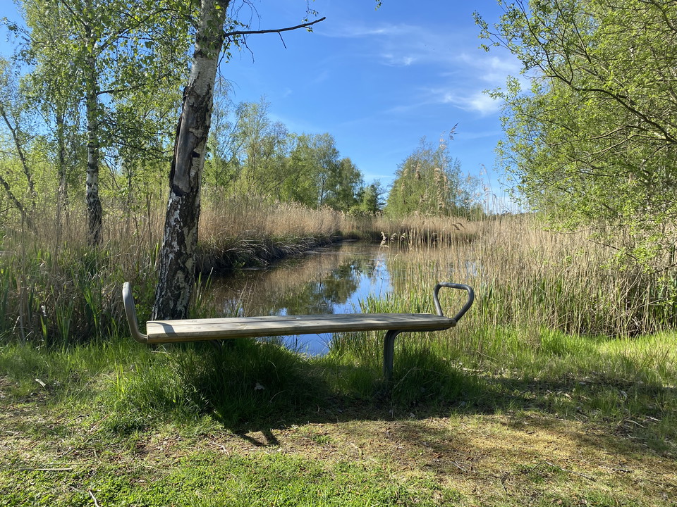 As well as providing habitats and purifying the water, wetlands often offer pleasant places to spend time. 