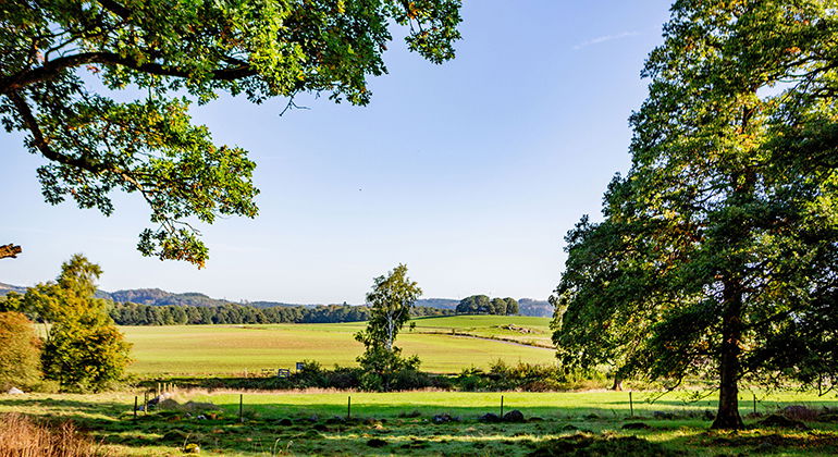 Vy över reservatet