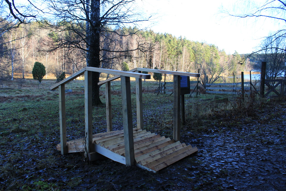 Färister leder besökare in i hagmarken.