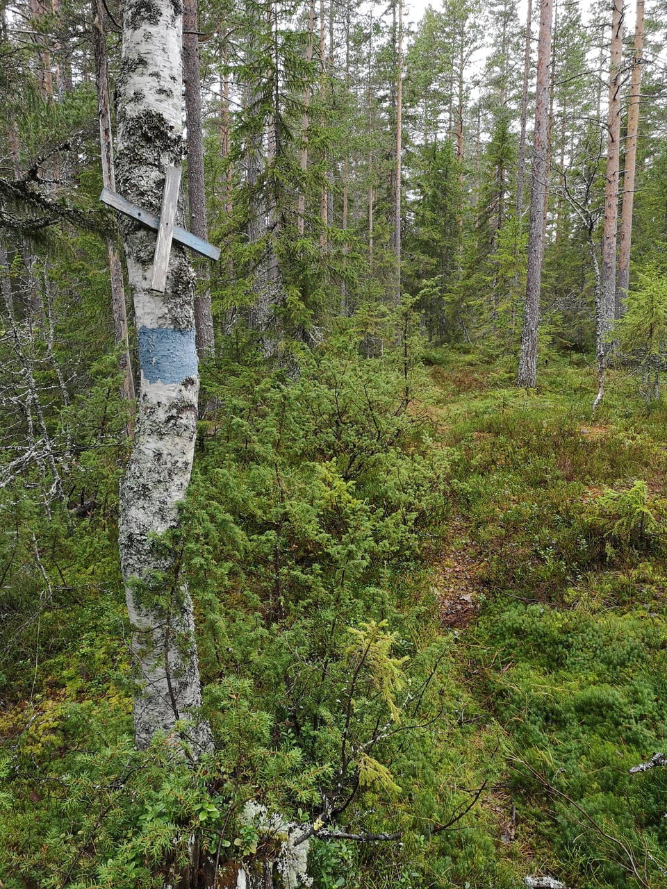 Obs, det är inte tydligt vart stigen startar, använd denna karta i telefonen med gps på.