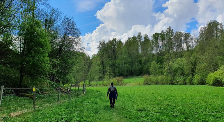 Frodiga ängar vid Åbron