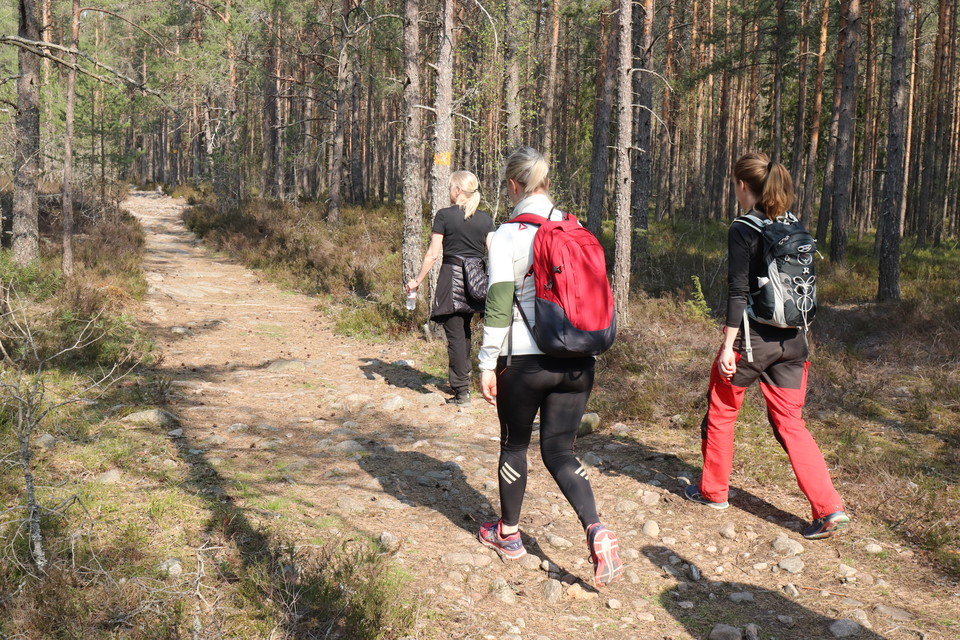Hiking on the Roslagsleden trail in the forest of Gävsjöskogen
