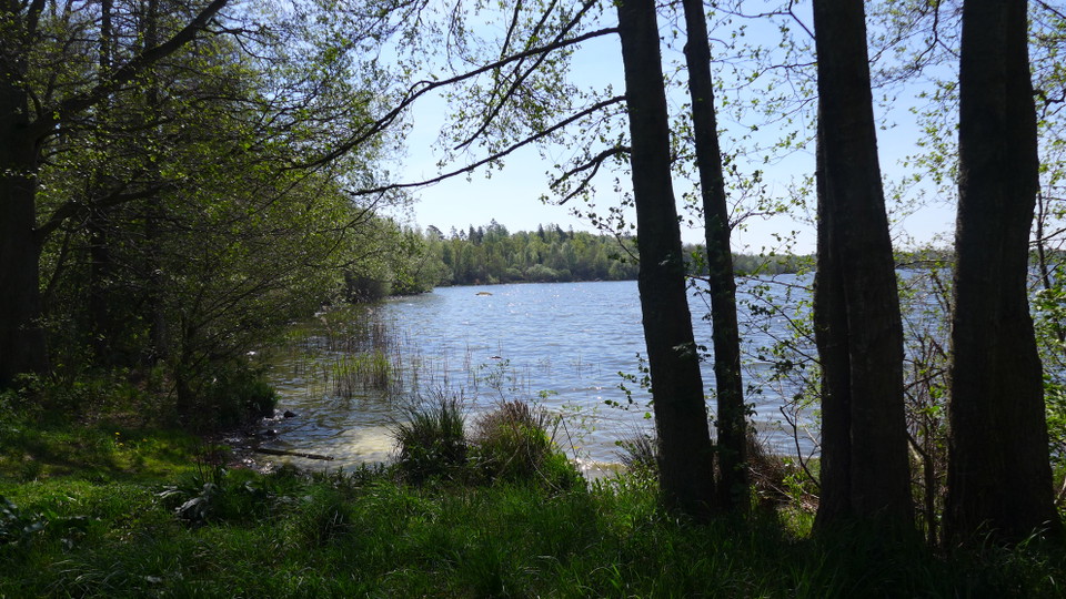 Sjönära läge