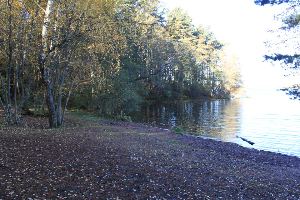 En lätt sluttande sandstrand i en vik. Vid stranden finns många träd.
