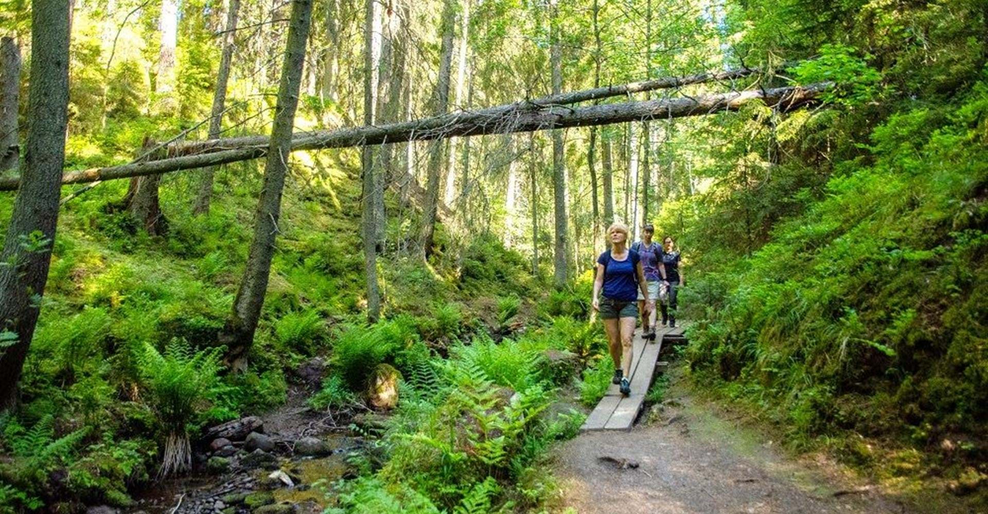 Anslutningsled Getå till Fridhem rundslinga, Östgötaleden