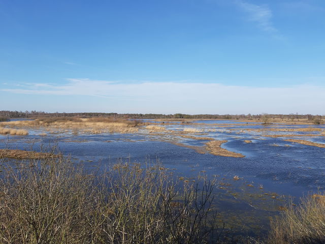 Petgärdeträsk, Naturreservat