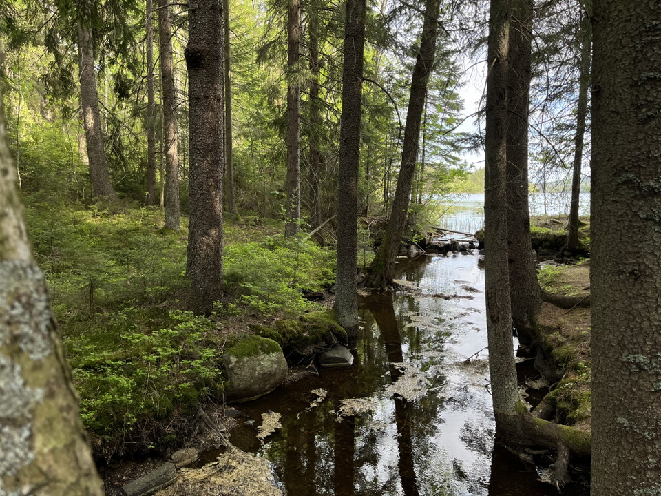 Vy över bäcken