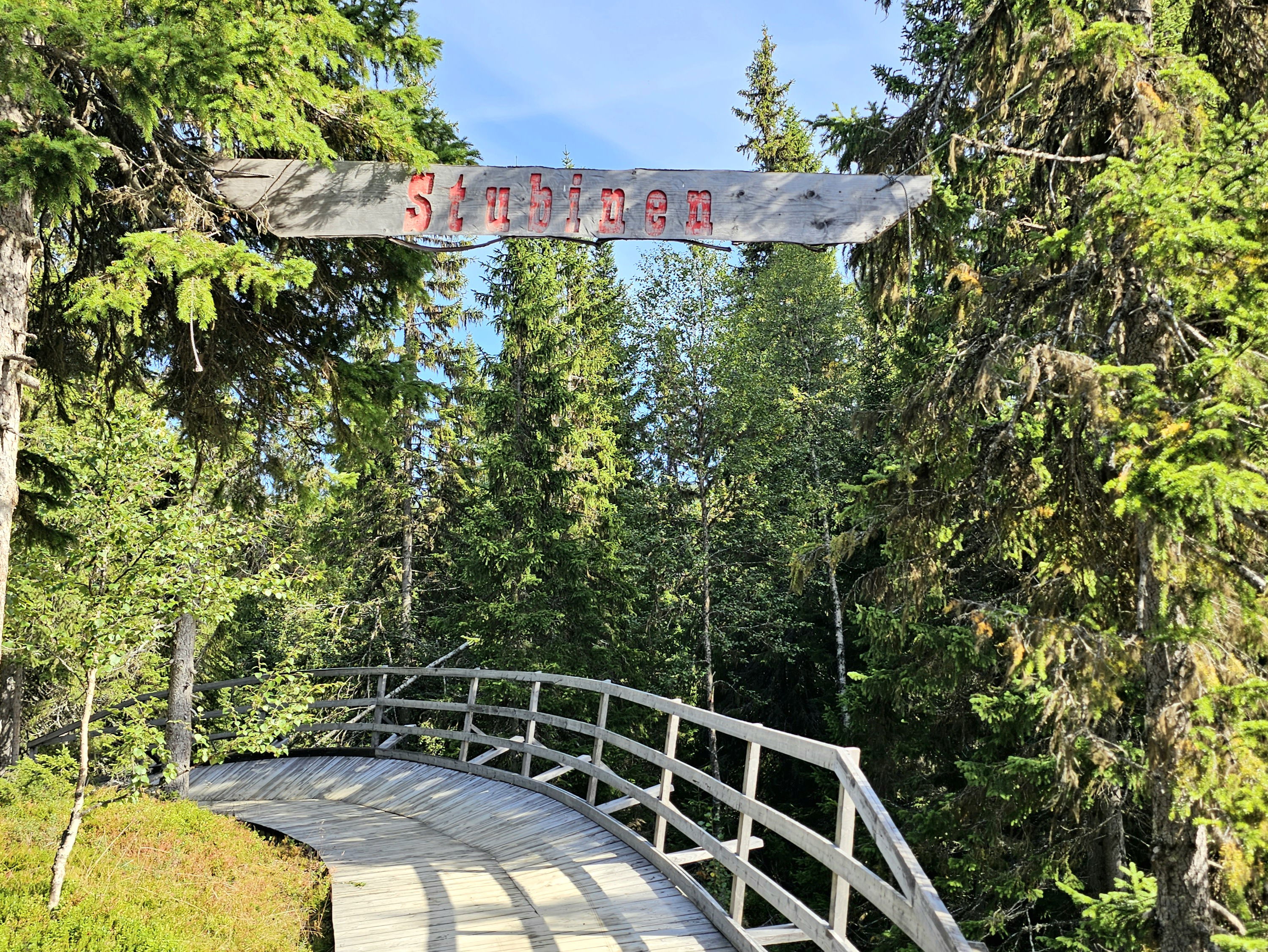 En trallbygg cykelvelodrom i skogen