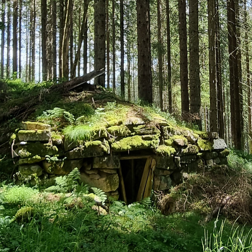 Vandra i Arvika och Eda