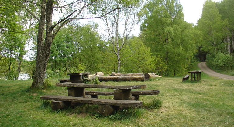 Rastplats vid Verkasjön.