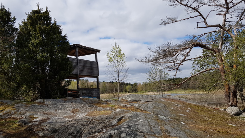 Fågeltorn vid Västra Långängskärret. Foto Lidingö stad