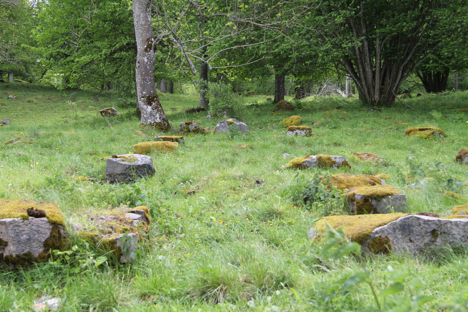 Stenpartier på ängsmark.